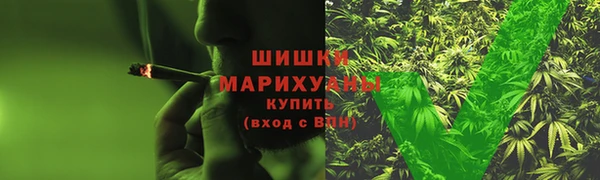 гидра Абаза