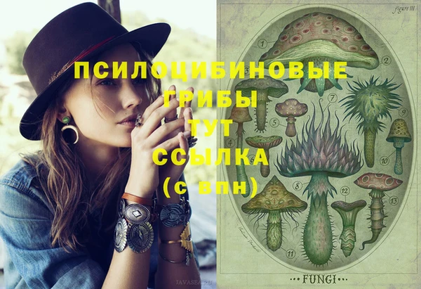 гидра Абаза