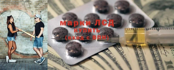 гидра Абаза